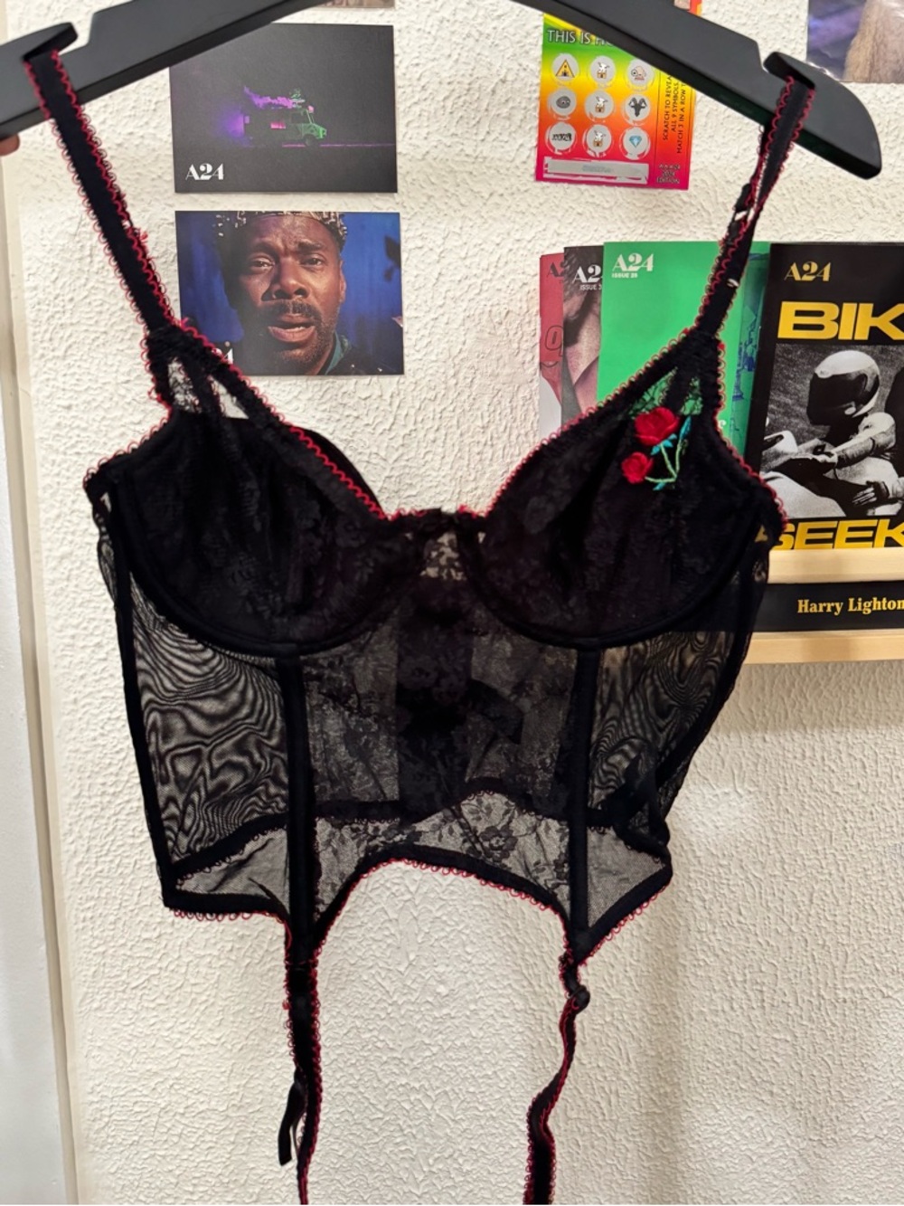 Michelle Lingerie Black Lace Bustier Corset Red Trim Embroidered Rose